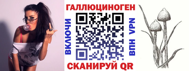 Галлюциногенные грибы Psilocybe Рубцовск